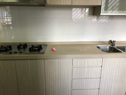 Blk 22 St. Georges Road (Kallang/Whampoa), HDB 5 Rooms #186148302